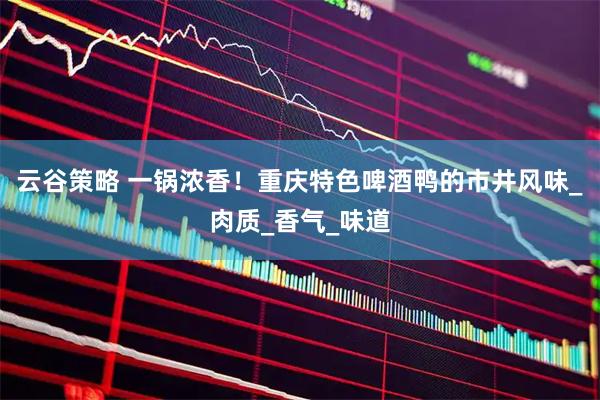 云谷策略 一锅浓香！重庆特色啤酒鸭的市井风味_肉质_香气_味道