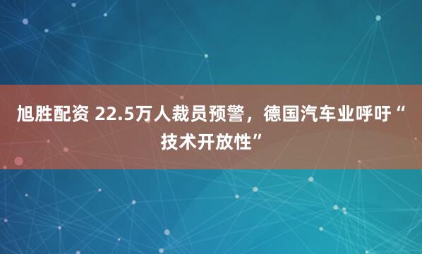 旭胜配资 22.5万人裁员预警，德国汽车业呼吁“技术开放性”